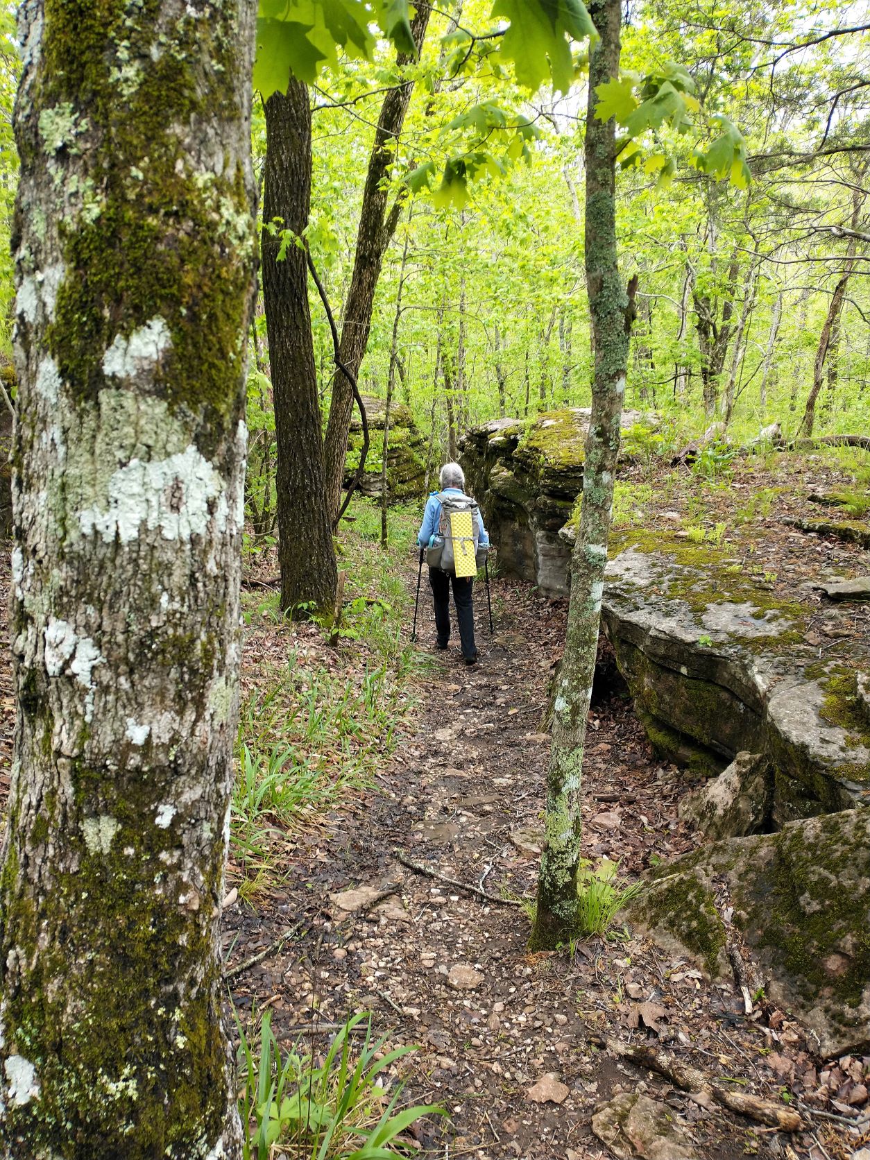 Adventuring On The Buffalo River Trail - Van Delicious