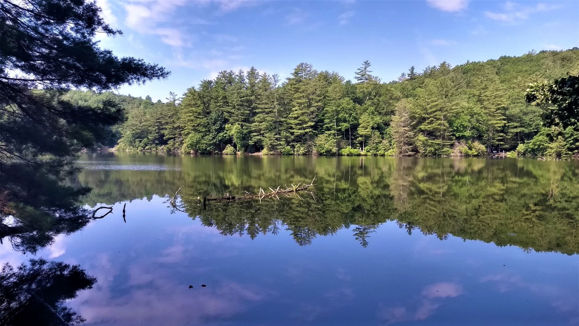 Lake Conasauga Recreation Area - Van Delicious